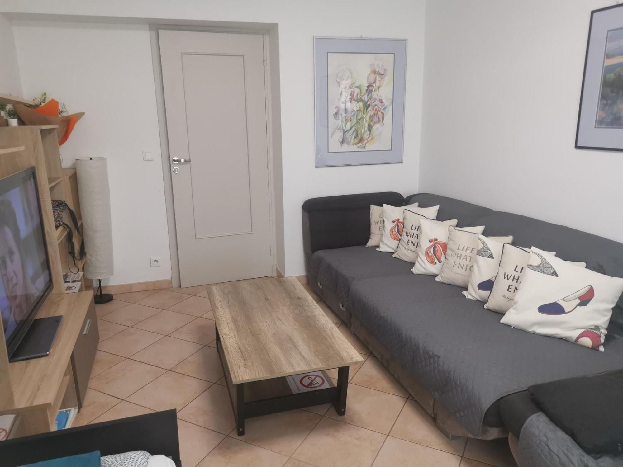 The - 3 Rooms, 3air Cond, 3tv, 3fans, 2 Wc, Wifi Everywhere 5min Aeroport, Train, Beach, 1min Tram, 15 Min Centre, Port, Parking Possible * Nizza